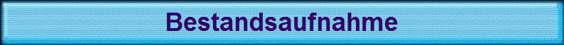 Bestandsaufnahme