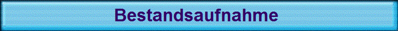 Bestandsaufnahme 