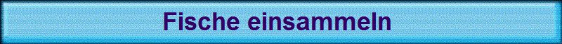 Fische einsammeln 