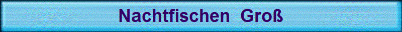 Nachtfischen  Gro
