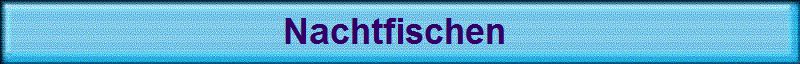 Nachtfischen 