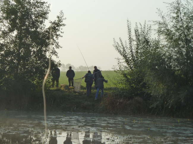 Abfischen 