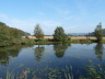 Abfischen 