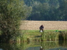Abfischen 
