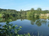Abfischen 