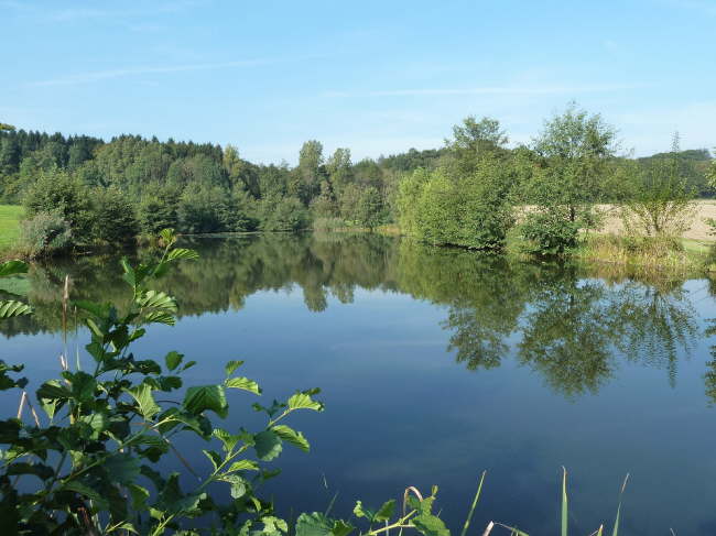 Abfischen 