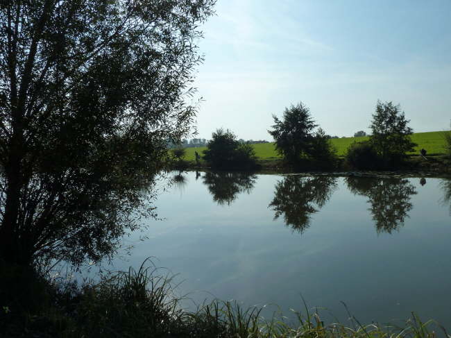 Abfischen 