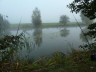 Abfischen 2012