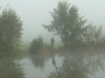 Abfischen 2012
