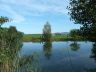 Abfischen 2012 