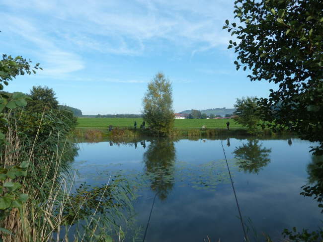 Abfischen 2012 