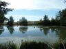 Abfischen 2012