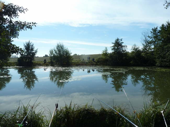 Abfischen 2012
