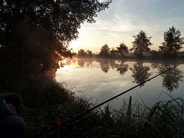 Abfischen 2014 