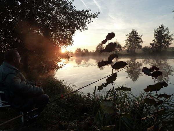 Abfischen 2014 