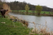 Anfischen