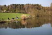 Anfischen2014