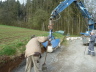 Arbeitseinsatz