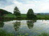 Familienfischen 2011 