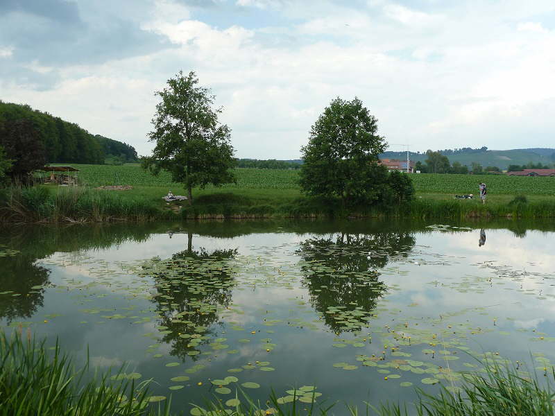 Familienfischen 2011 