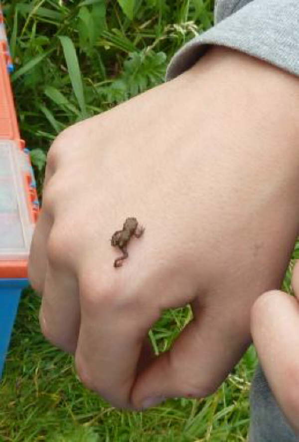 Familienfischen 2011 