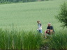 Familienfischen 2011