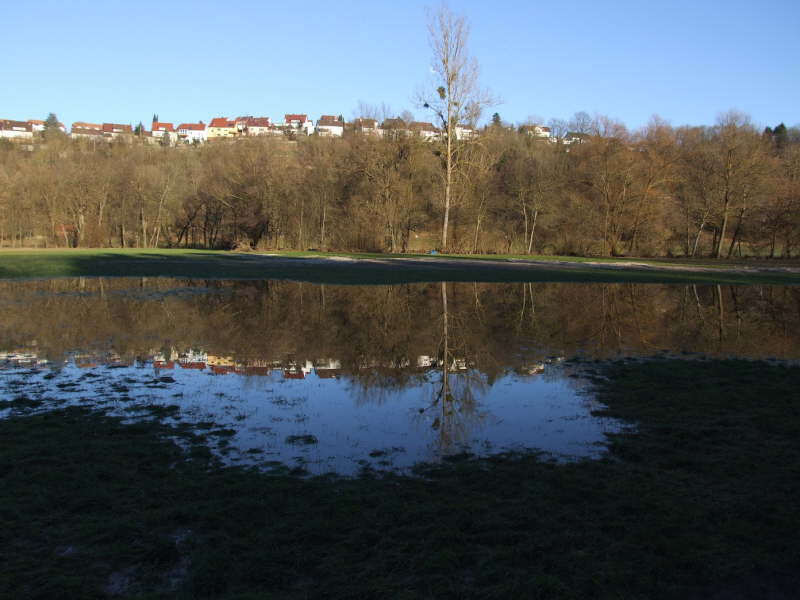 Fische einsammeln