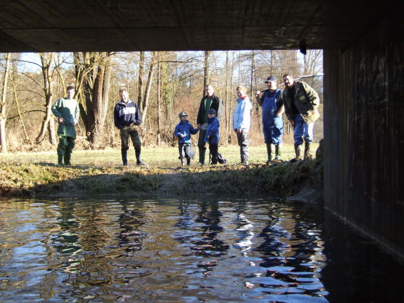Fische einsammeln 