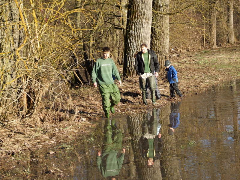 Fische einsammeln