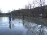 Fische einsammeln