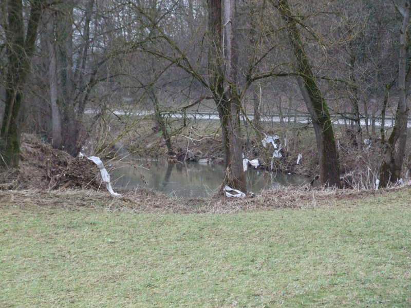 Fische einsammeln