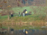 Hechtfischen
