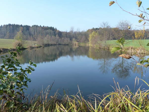 Hechtfischen