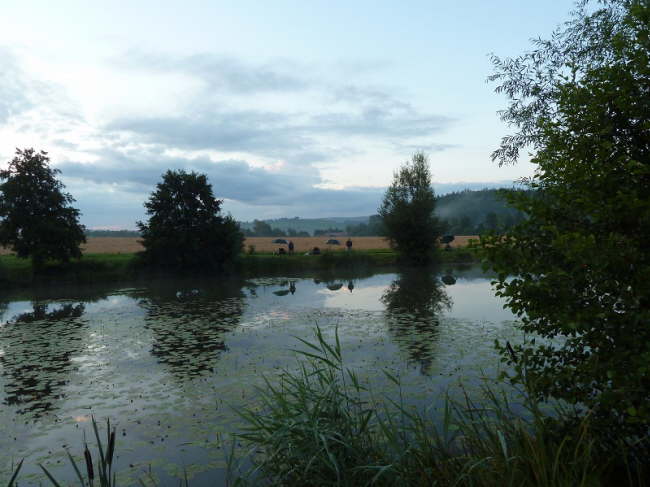 Nachtfischen 