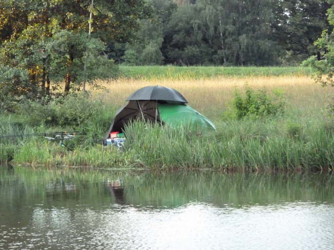 Nachtfischen in Pfofeld