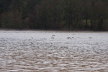 Hochwasser