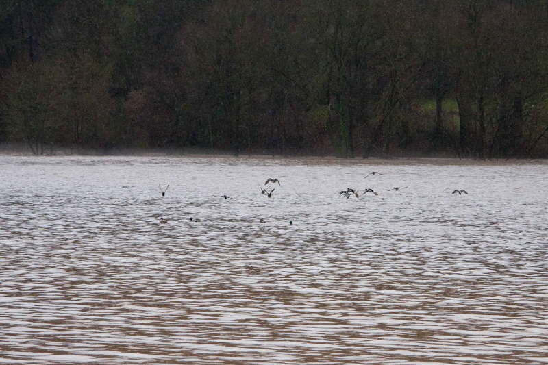 Hochwasser